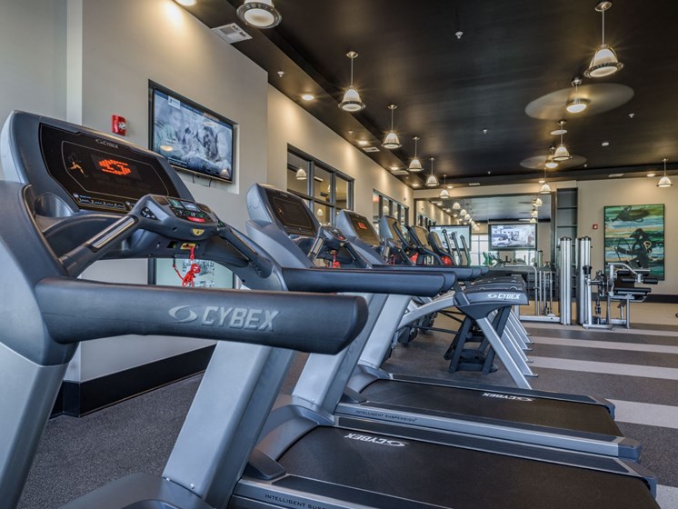 Fitness Center With Modern Equipment at Abberly Square Apartment Homes, Maryland
